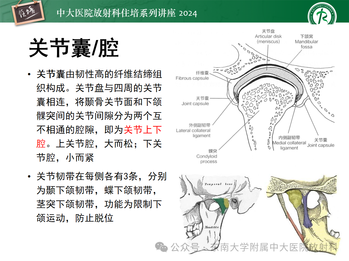 11ea797dbf27c9ca3ee37492c9c52695.png