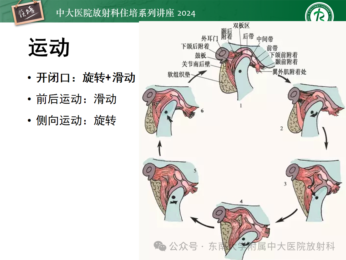 d15862be9ea759110e3c48231e092faa.png