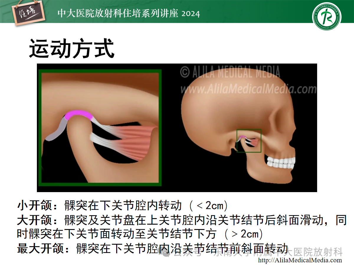 95aa99013f6a7a6e80a4b0809b194e1d.png