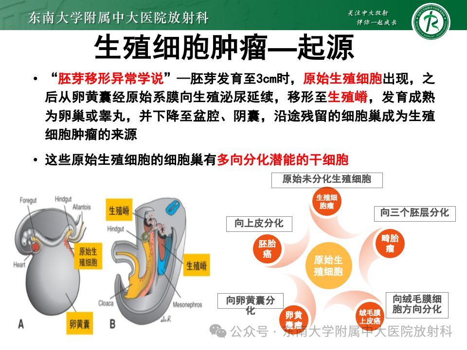 bd75971ac0e2594eeea63ec13d2a6a94.png