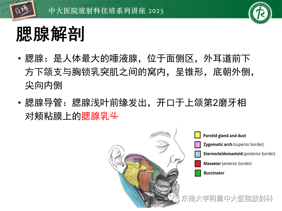 a6e0a9f670a6b52776888ac1a7779337.png
