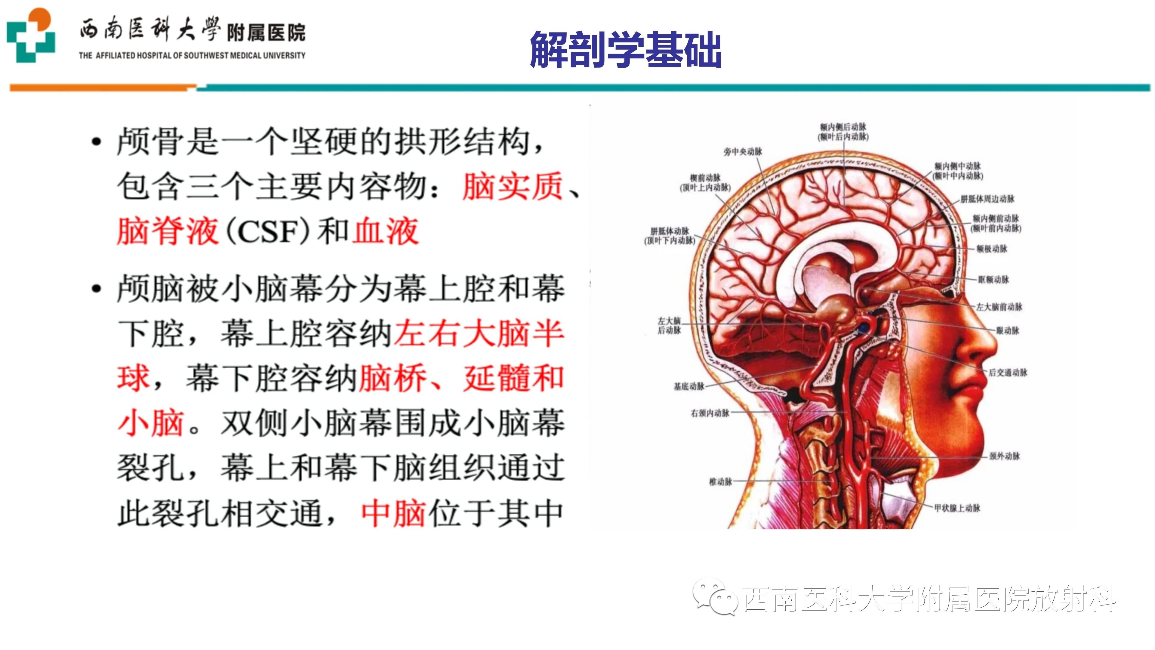 e3ef438f2fd25ed2e189d636a4320397.jpg