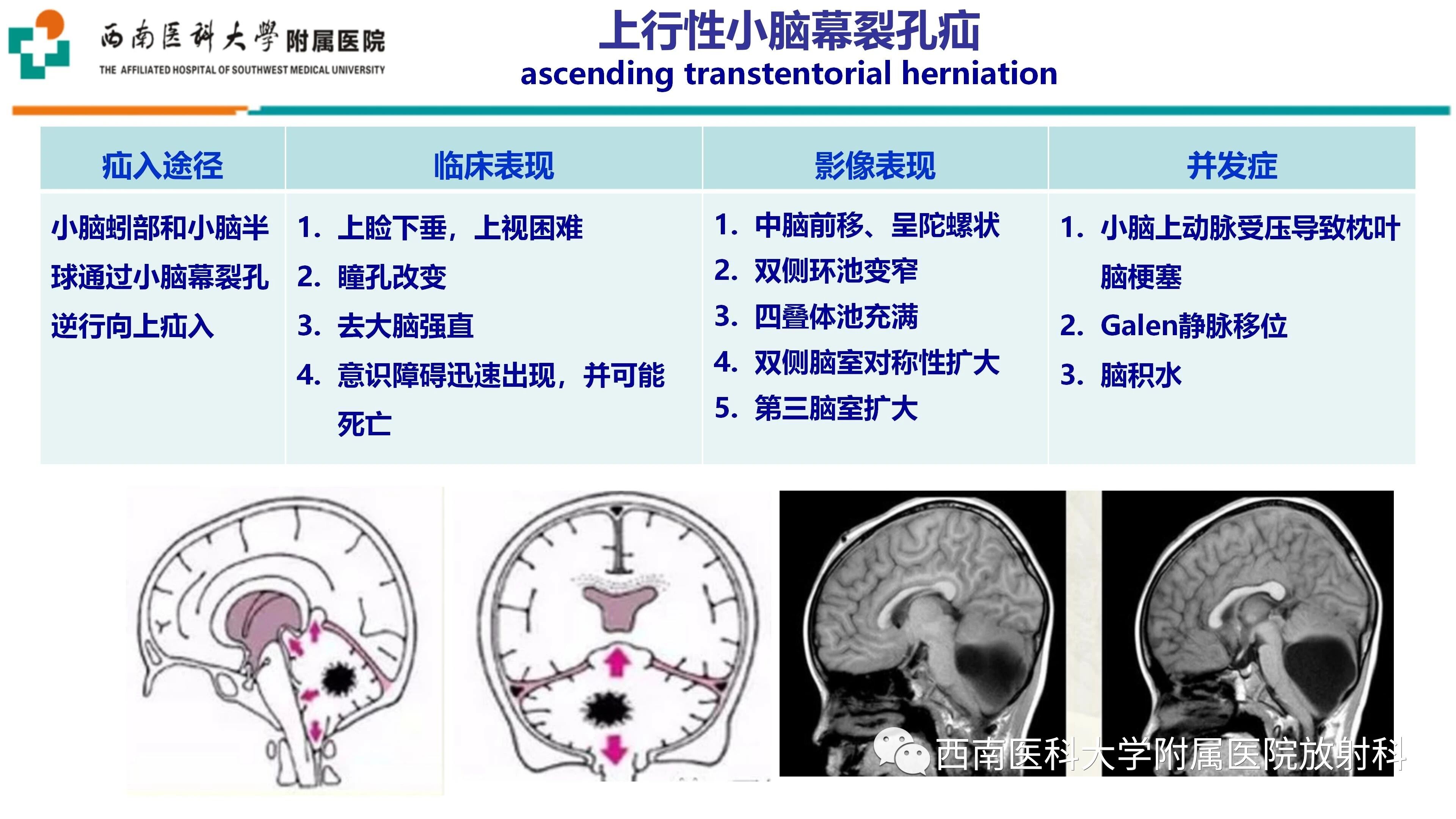 780c62a8c350090bff52ac38216238b5.jpg