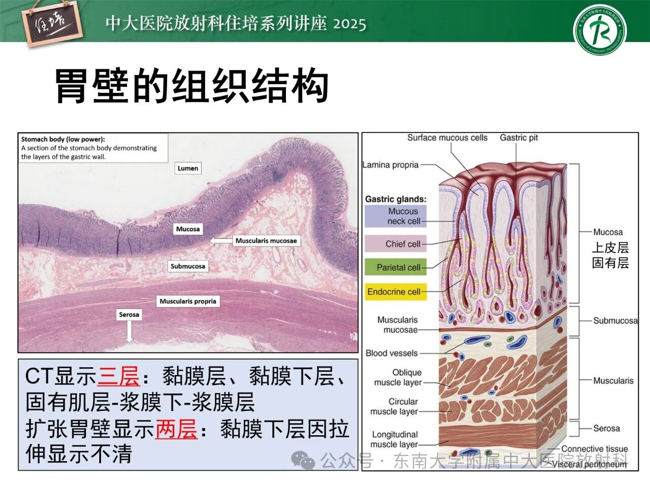 e49068d44ebc5378fb06a2da5b75f6cd.jpg