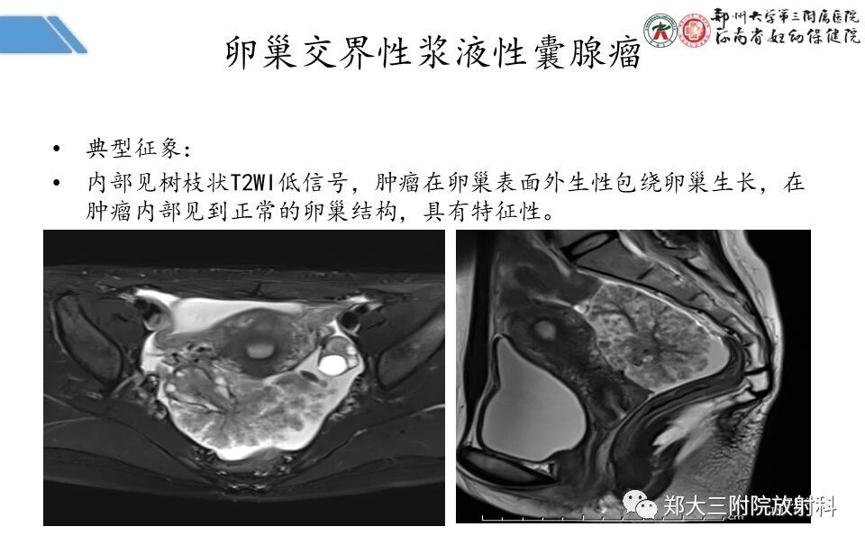5bac237cb344e36562b47de398124679.jpg