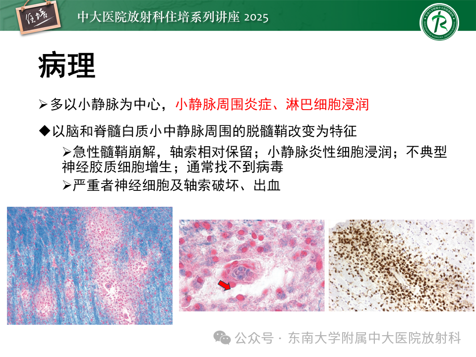 57cc125a8ec967141b1b8f54691f6494.png