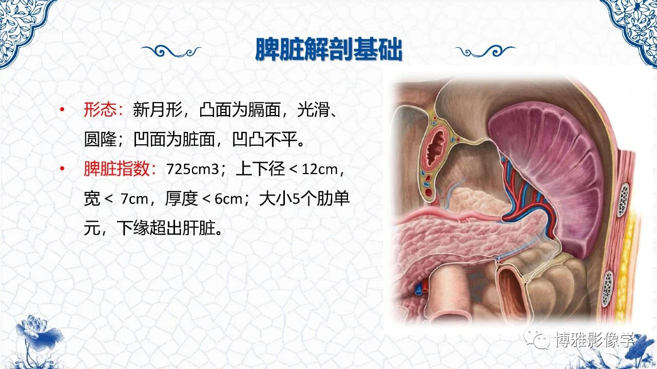 8794ad36edf6c40e97c3ae319da2075d.jpg
