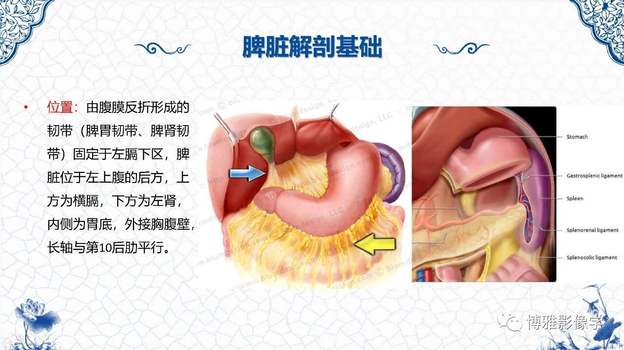 e9ce345b6d11d1485e3a3d2fe712d209.jpg