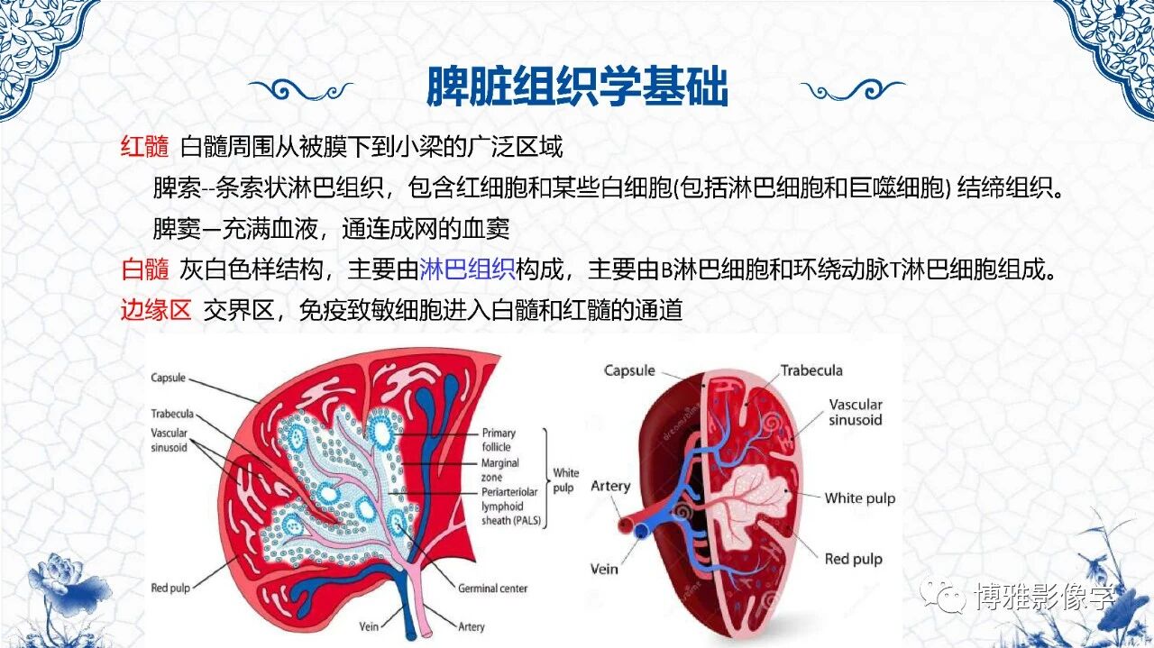 b20b18eadb21ca83d2f59bde64c8dac4.jpg