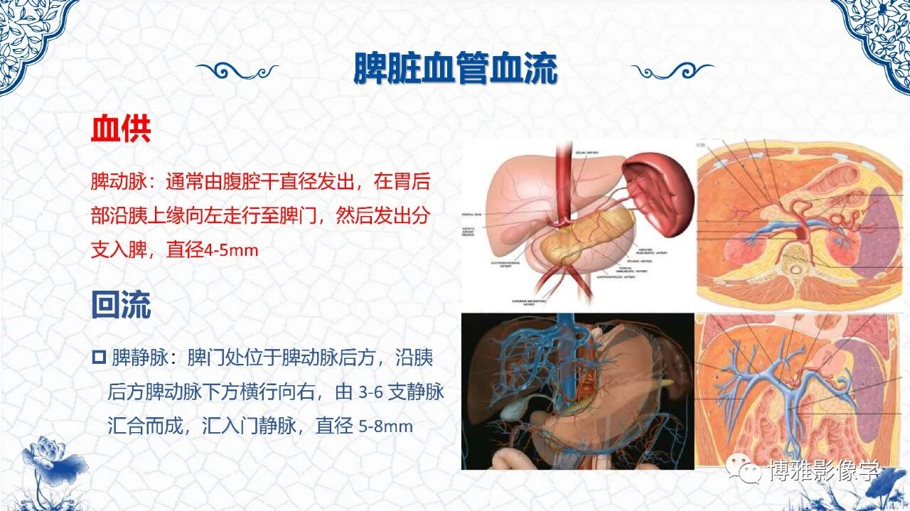 a0a6b657cc43add0ed2b50bf19736192.jpg