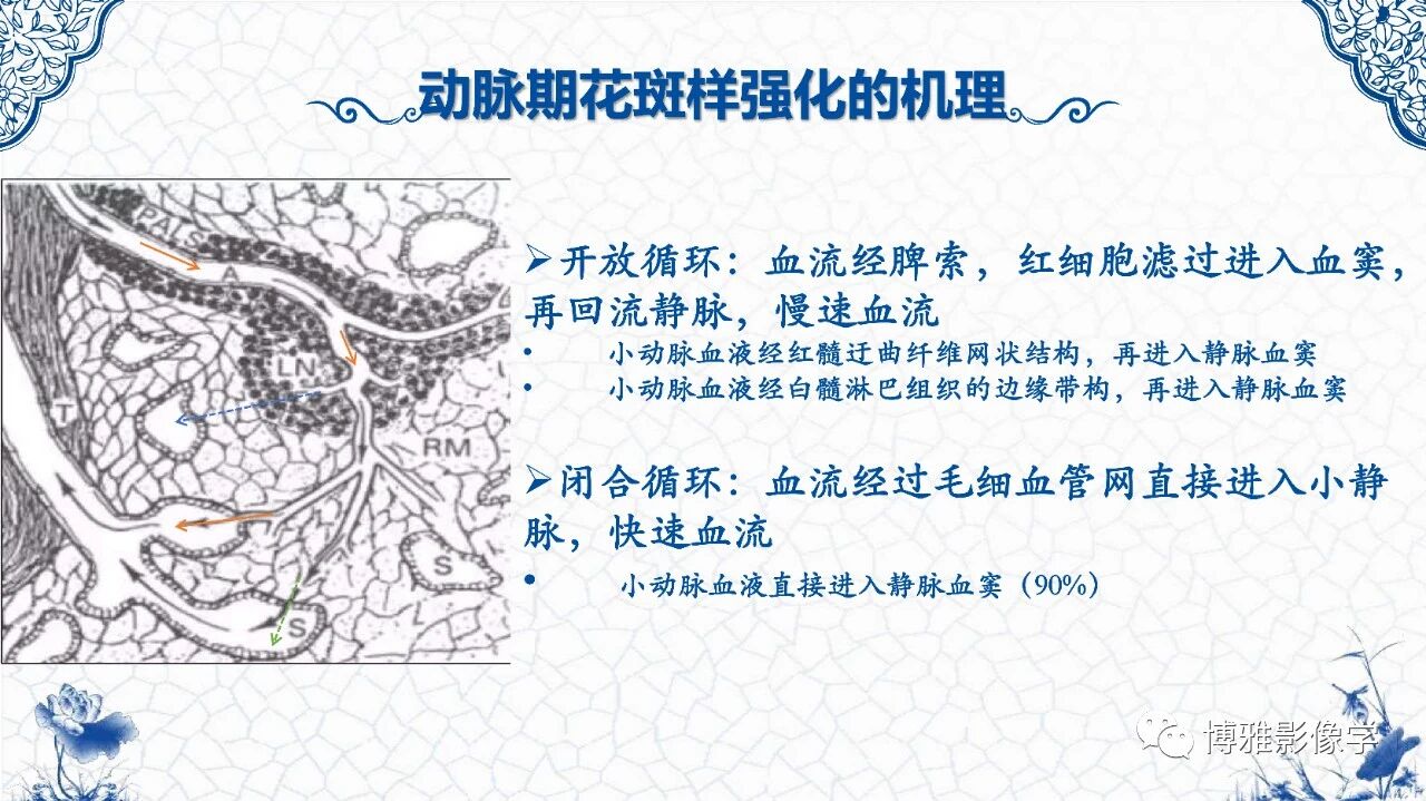 131547249cba333de5601727a632b78f.jpg
